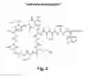 Fig. 03 - Lipopeptide compositions and related methods
