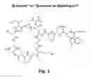 Fig. 04 - Lipopeptide compositions and related methods
