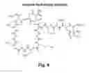 Fig. 05 - Lipopeptide compositions and related methods