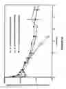 Fig. 33 - BIODEGRADABLE DRUG DELIVERY COMPOSITIONS