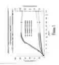 Fig. 06 - PHARMACEUTICAL COMPOSITIONS WITH SYNCHRONIZED SOLUBILIZER RELEASE