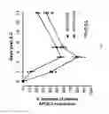 Fig. 02 - Fatty acids and their use in conjugation to biomolecules