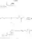 Fig. 35 - Fatty acids and their use in conjugation to biomolecules
