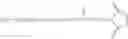 Fig. 118 - Conjugates of an anti-TNF-alpha antibody