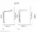 Fig. 10 - Biologically active molecules, conjugates thereof, and therapeutic uses