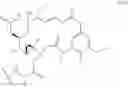Fig. 28 - Biologically active molecules, conjugates thereof, and therapeutic uses