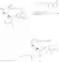Fig. 47 - Biologically active molecules, conjugates thereof, and therapeutic uses