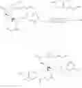 Fig. 49 - Biologically active molecules, conjugates thereof, and therapeutic uses