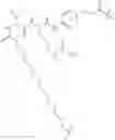 Fig. 09 - Polyoxazoline antibody drug conjugates