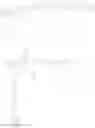 Fig. 48 - Polyoxazoline antibody drug conjugates