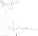 Fig. 60 - Polyoxazoline antibody drug conjugates