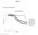 Fig. 06 - cKIT antibody drug conjugates