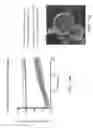 Fig. 15 - Gas-filled stabilized particles and methods of use