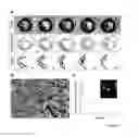 Fig. 02 - TARGETED DELIVERY OF NANOPARTICLES TO EPICARDIAL DERIVED CELLS (EPDC)