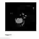 Fig. 10 - TARGETED DELIVERY OF NANOPARTICLES TO EPICARDIAL DERIVED CELLS (EPDC)