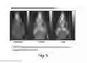 Fig. 06 - Compositions and methods for assessing neuromuscular function