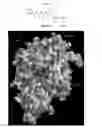 Fig. 09 - 18F-labeled PSMA-targeted PET imaging agents