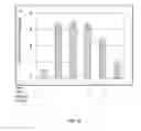 Fig. 17 - Injectable Biodegradable Bone Matrix for Multiple Myeloma Lesion Augmentation and Osteoporosis