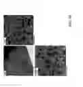 Fig. 20 - Bonding of Titanium Coating to Cast CoCr