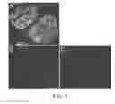 Fig. 04 - Method for decellularization of tissue grafts