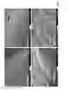 Fig. 05 - USE OF MICROPARTICLES AND ENDOTHELIAL CELLS WITH DECELLULARIZED ORGANS AND TISSUES