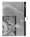 Fig. 09 - USE OF MICROPARTICLES AND ENDOTHELIAL CELLS WITH DECELLULARIZED ORGANS AND TISSUES