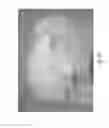 Fig. 02 - Use of perfusion decellularized liver for islet cell recellularization