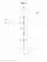 Fig. 07 - Integrated water testing system for ultra-low total chlorine detection