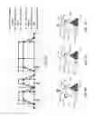 Fig. 12 - Intelligent and configurable fluid delivery system and methods for its use
