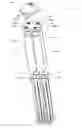 Fig. 01 - Multi-chamber injection device