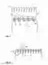 Fig. 04 - Flexible, extensible, coaxial type tube system