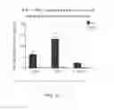 Fig. 16 - Synthesis of nitric oxide gas for inhalation