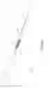 Fig. 16 - Sensor mounted flexible guidewire
