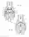 Fig. 06 - Transfer device valve
