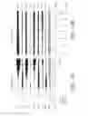 Fig. 13 - High density epidural stimulation for facilitation of locomotion, posture, voluntary movement, and recovery of autonomic, sexual, vasomotor, and cognitive function after neurological injury