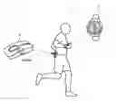 Fig. 01 - Exercise analysis apparatus, exercise analysis method, exercise analysis program, and exercise analysis system