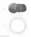 Fig. 04 - Enhanced Golf Ball and Method for Its Construction