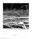 Fig. 02 - PERIPHERALLY ENRICHED FIBROUS MEDIA AND METHOD OF MAKING