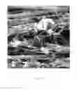Fig. 04 - PERIPHERALLY ENRICHED FIBROUS MEDIA AND METHOD OF MAKING