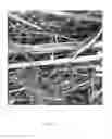 Fig. 10 - PERIPHERALLY ENRICHED FIBROUS MEDIA AND METHOD OF MAKING