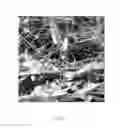 Fig. 11 - PERIPHERALLY ENRICHED FIBROUS MEDIA AND METHOD OF MAKING