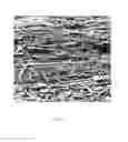 Fig. 13 - PERIPHERALLY ENRICHED FIBROUS MEDIA AND METHOD OF MAKING