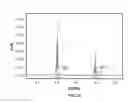 Fig. 09 - Hybrid nanoparticle TFC membranes