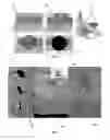 Fig. 05 - Titanium oxide aerogel composites