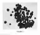 Fig. 03 - Biochar products and method of manufacture thereof
