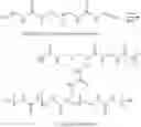 Fig. 06 - Microencapsulated catalyst-ligand system