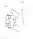 Fig. 05 - Device for standard preparation of urinary sediment for urine analysis (Mono system)