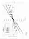 Fig. 11 - Magnetic separation of electrochemical cell materials