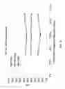 Fig. 15 - Magnetic separation of electrochemical cell materials