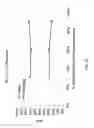 Fig. 16 - Magnetic separation of electrochemical cell materials
